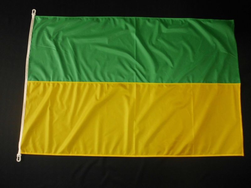 Hissfahne Fahne Flagge Groesse 100/150 grün-weiß
