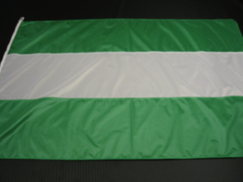 Hissfahne Fahne Flagge Groesse 100/150 grün-weiß-grün