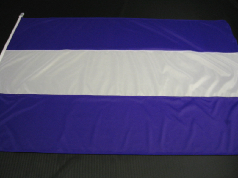 Hissfahne Fahne Flagge Groesse 100/150 lila-weiß-lila