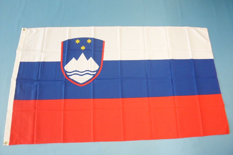 Hissfahne Dekofahne Flagge Groesse 90/150 Schweiz
