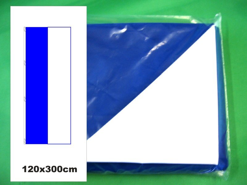 Hissfahne Fahne Flagge Hochformat Groesse 120/300 blau-weiß 