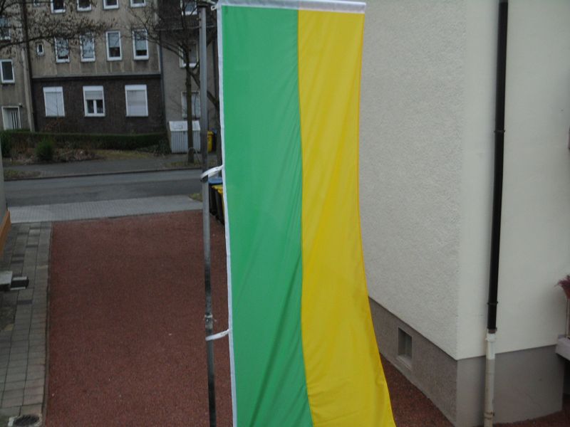 Hissfahne Fahne Flagge Hochformat Groesse 120/300 grün-weiß 